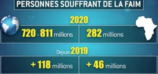 la-fao-alerte-sur-la-malnutrition-en-afrique